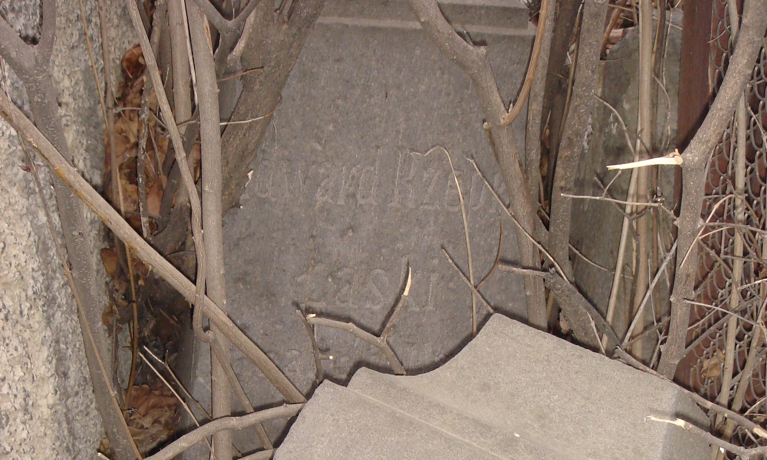 Fotografia przedstawiająca Tombstone of Edward Rzepka Łaski