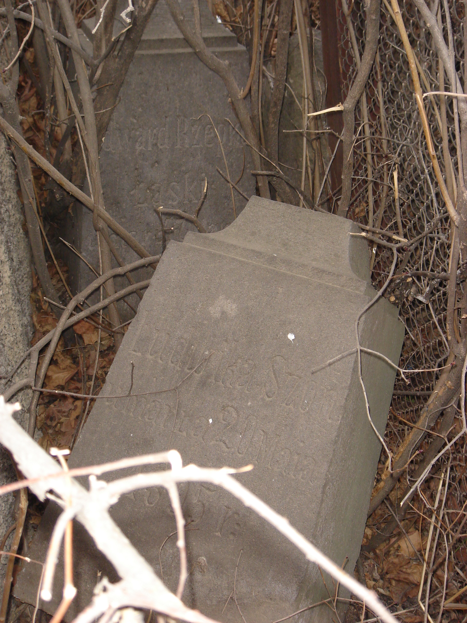 Fotografia przedstawiająca Tombstone of Ludwika Szon