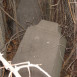 Fotografia przedstawiająca Tombstone of Ludwika Szon