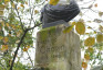 Photo montrant Statue de Frédéric Chopin dans les jardins du Luxembourg à Paris