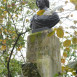 Photo montrant Statue de Frédéric Chopin dans les jardins du Luxembourg à Paris