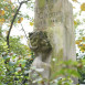 Photo montrant Statue de Frédéric Chopin dans les jardins du Luxembourg à Paris