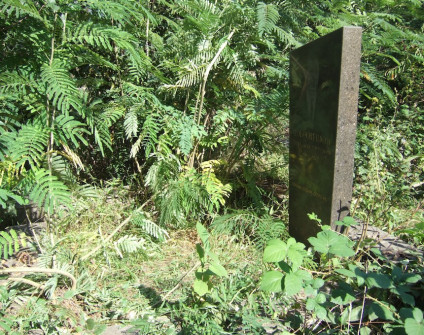 Nagrobek Leonida Dobronieckiego o nieregularnym kształcie, szerszy u góry, otoczony niską roślinnością. Nad inskrypcją widoczny wytrawiony portret zmarłego.