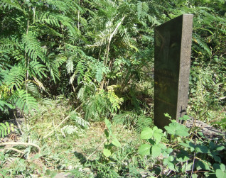 Nagrobek Leonida Dobronieckiego o nieregularnym kształcie, szerszy u góry, otoczony niską roślinnością. Nad inskrypcją widoczny wytrawiony portret zmarłego.