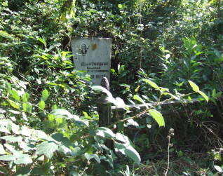 Marmurowa tablica nagrobna Mikołaja Dobronieckiego z rosyjską inskrypcją, otoczona gęstą zielenią. Owalne zdjęcie zmarłego nad tekstem, poniżej wieniec laurowy. Częściowo widoczne żeliwne ogrodzenie.