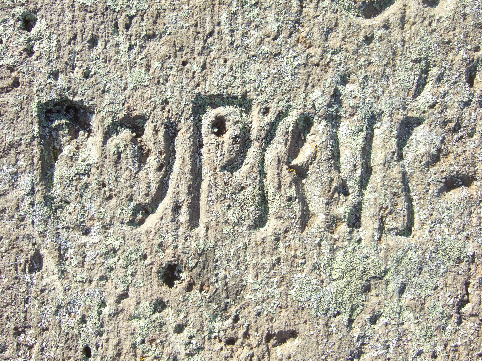 Photo showing Tombstone of Piotr Zdziechowski