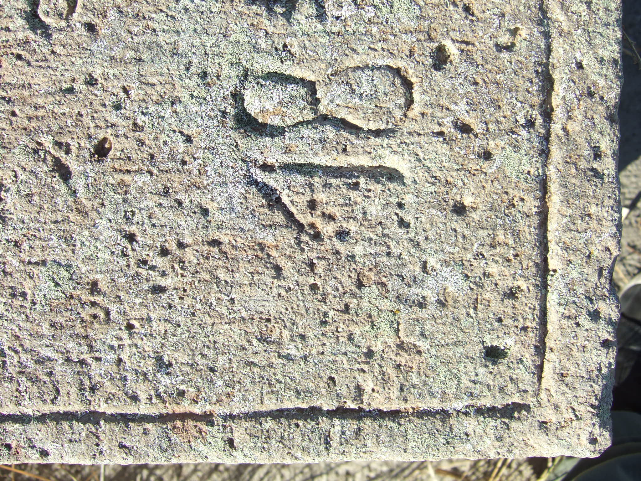 Photo showing Tombstone of Piotr Zdziechowski