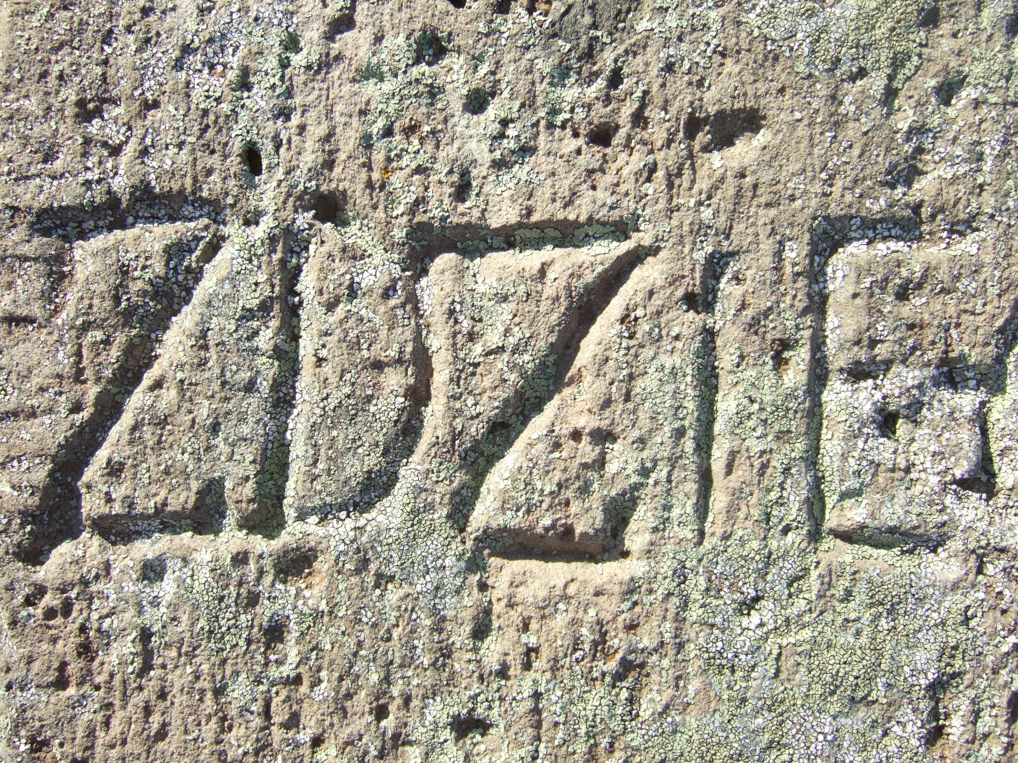 Photo showing Tombstone of Piotr Zdziechowski