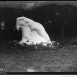 Fotografia przedstawiająca Sculpture \"Eve\" by Edward Wittig in the Trocadéro Gardens in Paris