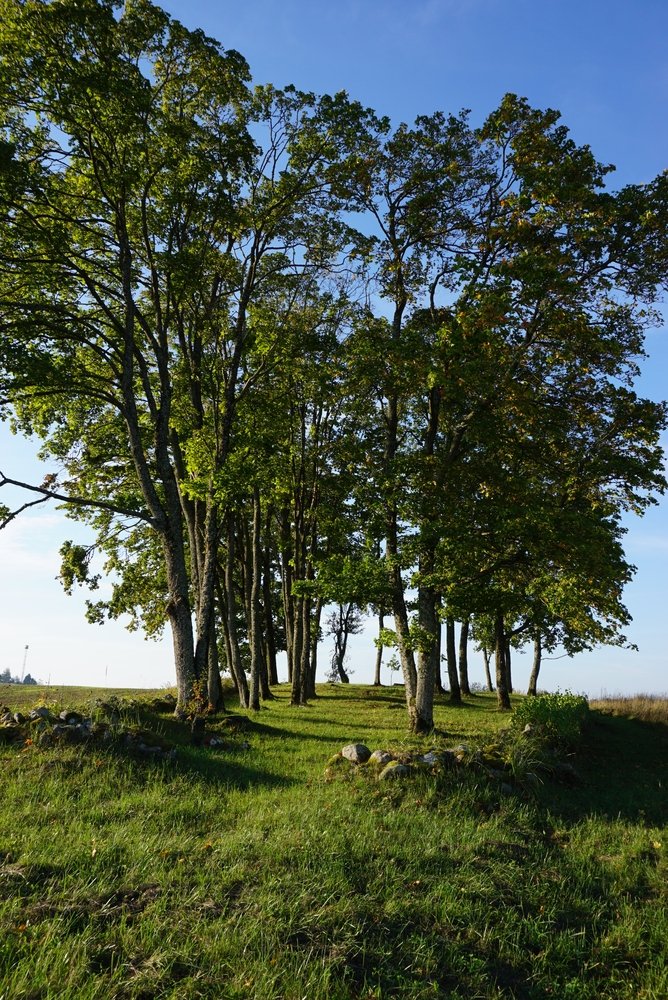 Photo montrant Tombe d\'un soldat de la Home Army