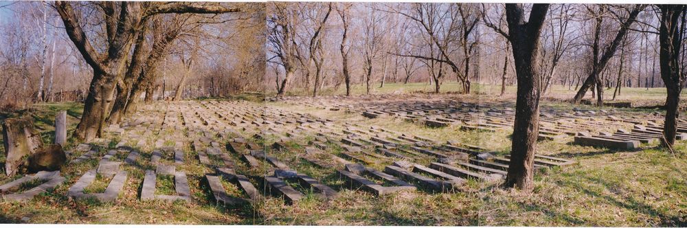 Альтернативний текст фотографії