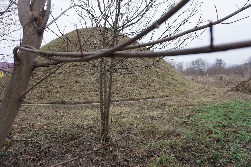 Альтернативний текст фотографії