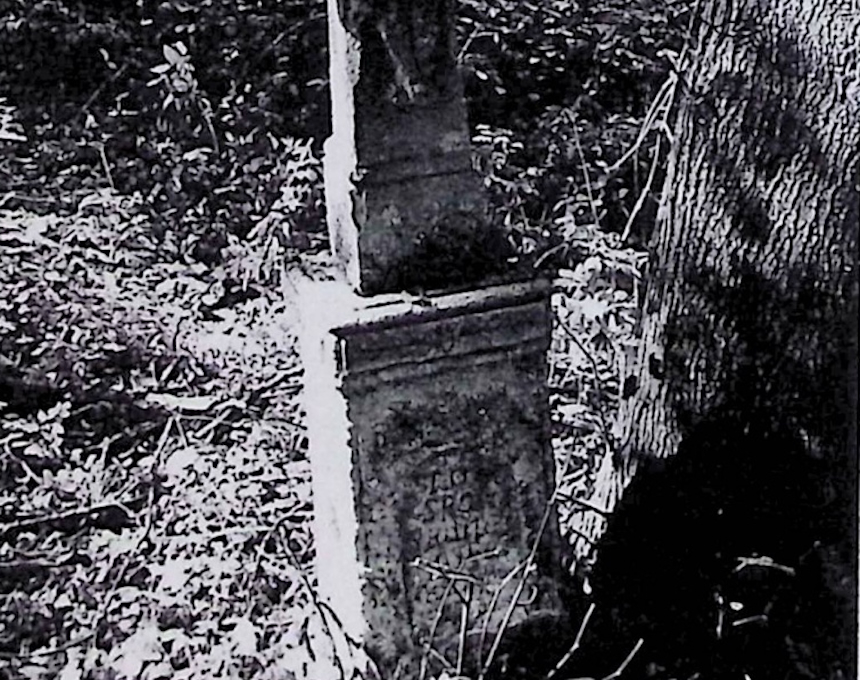 Альтернативний текст фотографії