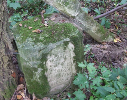 Nagrobek Agnieszki Zawisjakiewicz, stan z 2007