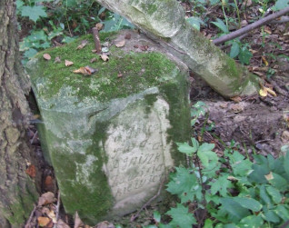 Nagrobek Agnieszki Zawisjakiewicz, stan z 2007