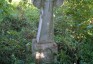 Photo montrant Tombstone of Jutta Suma[...].
