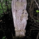 Fotografia przedstawiająca Tombstone of Ryszard Woepak