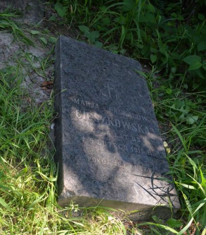 Nagrobek Marii Cieszkowskiej, cmentarz Bajkowa w Kijowie, stan z 2021