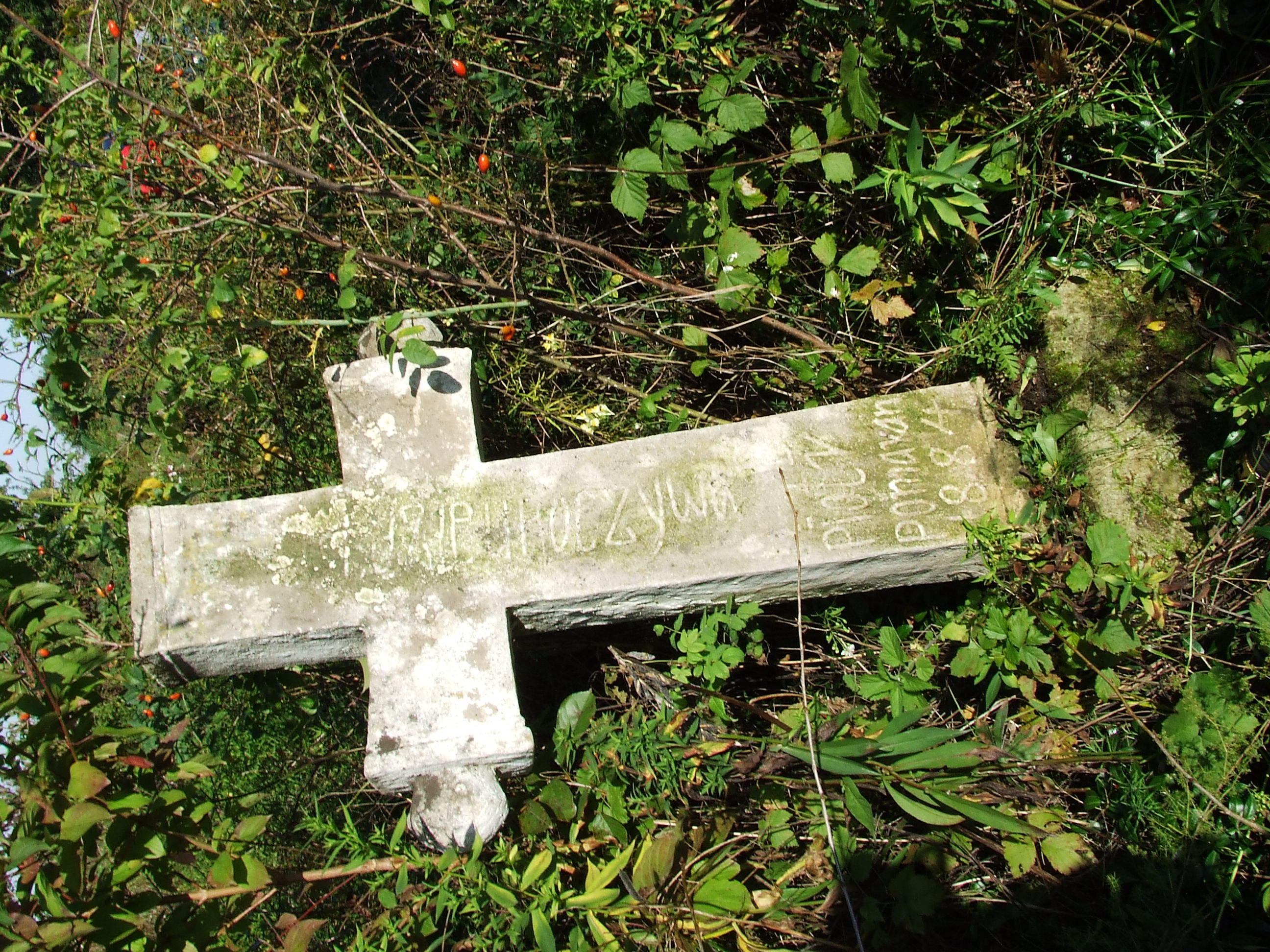 Nagrobek Piotra Momota, cmentarz w Dulibach, stan z 2006 r.