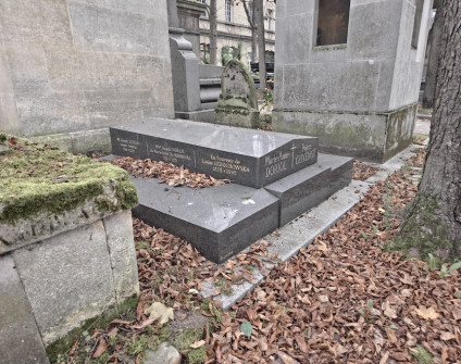 Nagrobek rodzin Doriol i Guyénot oraz Luizy Ledóchowskiej. Prostokątna płyta z krzyżem i inskrypcjami w kolumnach, otoczona opadłymi liśćmi.