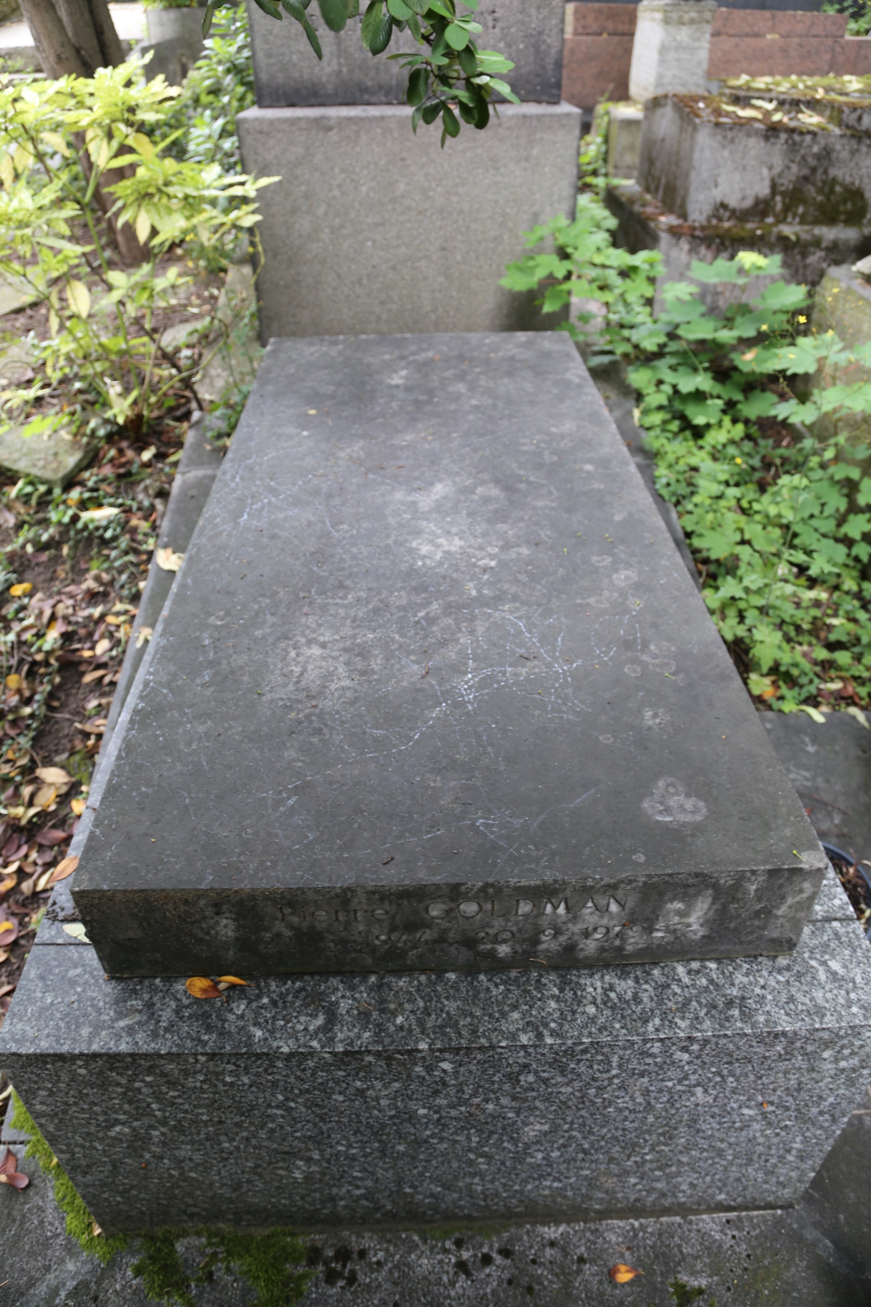 Photo showing Tombstone of Pierre Goldman