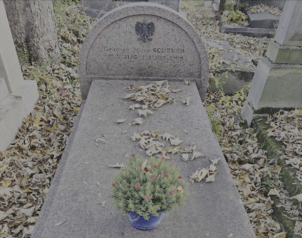 Nagrobek Jerzego Scheuera z półkolistą stelą z herbem Orła Białego z brązu. Widoczna inskrypcja. Na płycie leżą liście, na pierwszym planie roślina w doniczce.