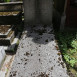 Photo showing Tombstone of Aron and Jacques Burlinski