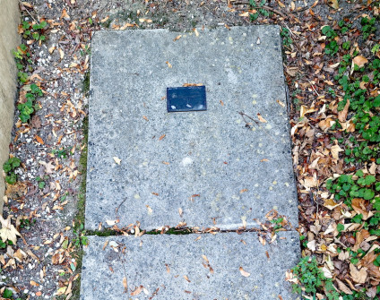 Płyta betonowa zakrywająca szyb grobowy z metalową tabliczką inskrypcyjną. Wokół rozrzucone liście i małe rośliny.