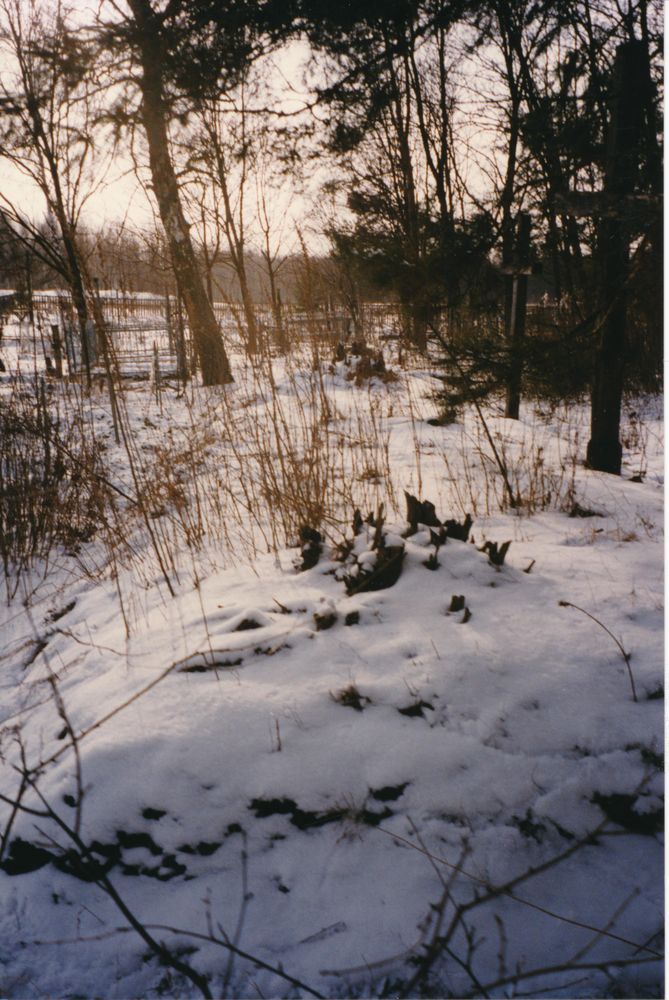 Photo showing Grave of Polish Army soldiers killed in the Polish-Bolshevik war