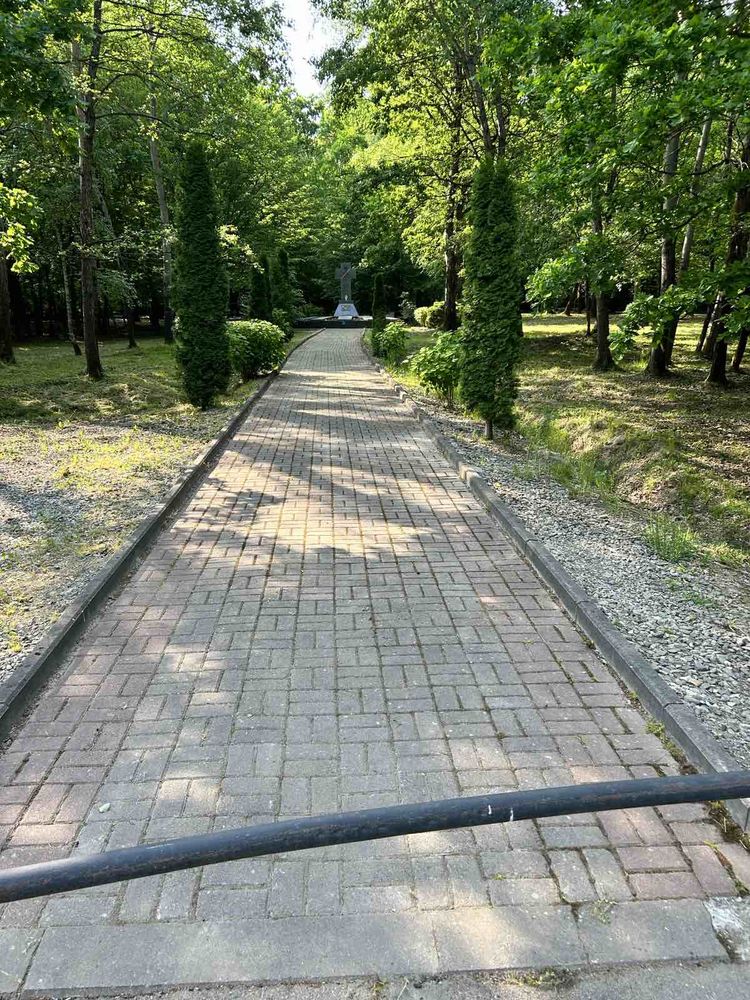 Fotografia przedstawiająca Cmentarz Polaków zamordowanych przez Niemców w 1941 r.