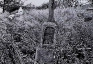 Photo montrant Tombstone of Władysław Batka