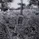 Photo montrant Tombstone of Władysław Batka