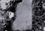 Альтернативний текст фотографії