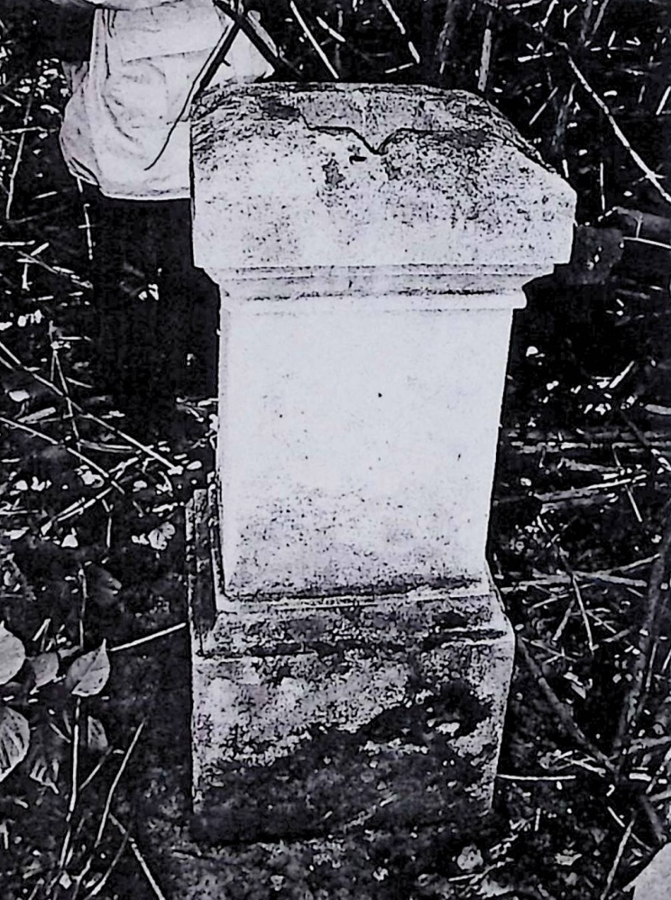 Fotografia przedstawiająca Nagrobek Damiana N.N.