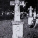 Fotografia przedstawiająca Nagrobek Franciszka N.N.