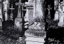 Альтернативний текст фотографії