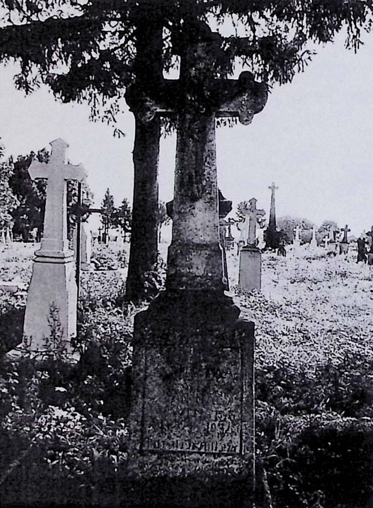 Альтернативний текст фотографії