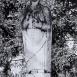Альтернативний текст фотографії