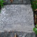 Photo montrant Tombstone of Agnieszka Nawrocka
