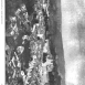 Photo showing Krzemieniec