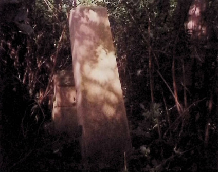 Ułamany obelisk na dwustopniowym cokole otoczony roślinnością. Obelisk leży obok cokołu. Płyta wierzchnia jest profilowana, a krawędzie fazowane. Na froncie wyryty krzyż z trójkątnymi zakończeniami.