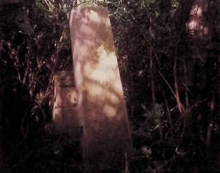 Ułamany obelisk na dwustopniowym cokole otoczony roślinnością. Obelisk leży obok cokołu. Płyta wierzchnia jest profilowana, a krawędzie fazowane. Na froncie wyryty krzyż z trójkątnymi zakończeniami.