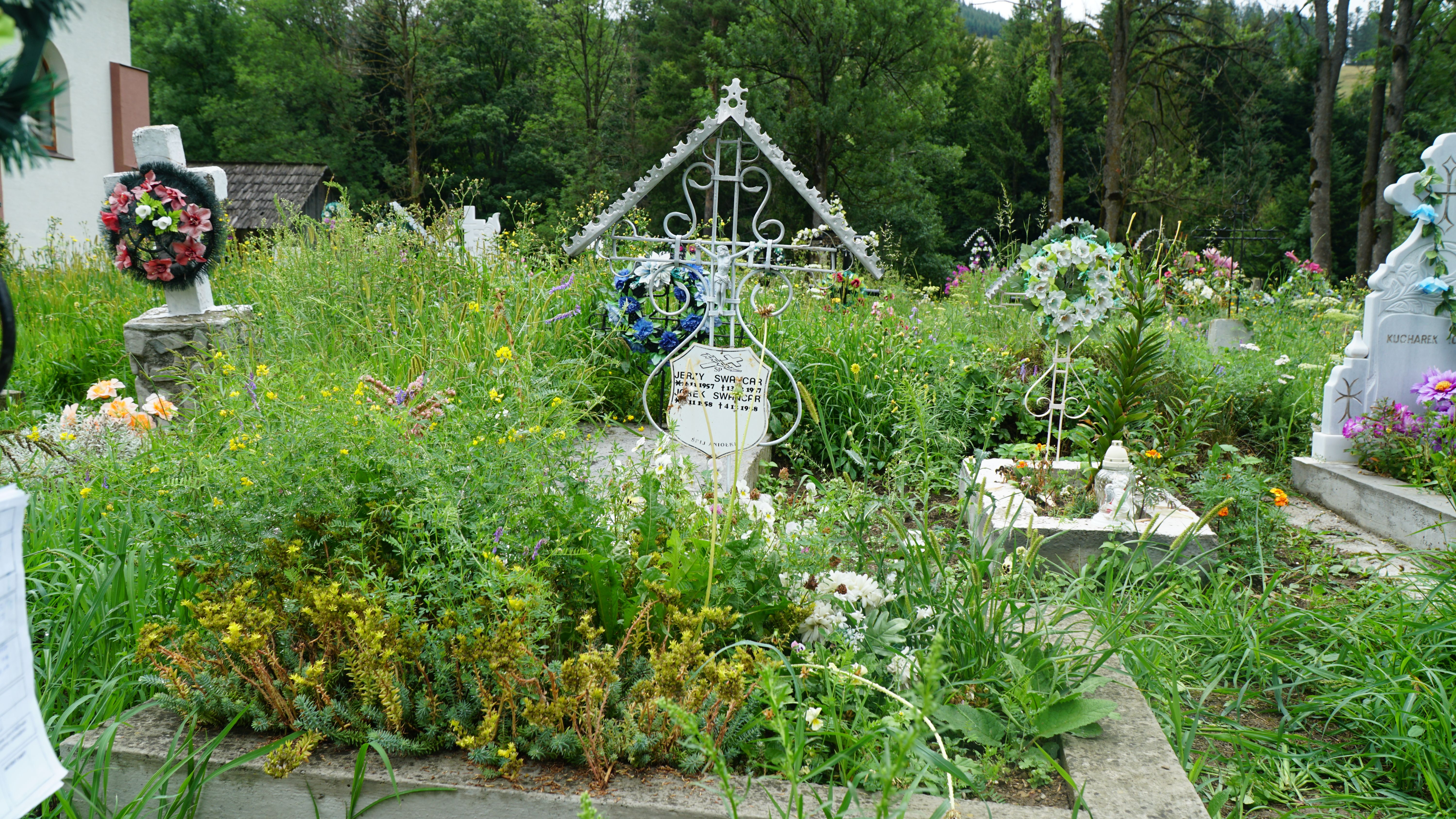 Photo showing Tombstone of George and Jurek Swancar