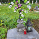 Photo showing Tombstone of Anton Iriszek