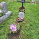 Photo showing Tombstone of Paulinka Jurášeková