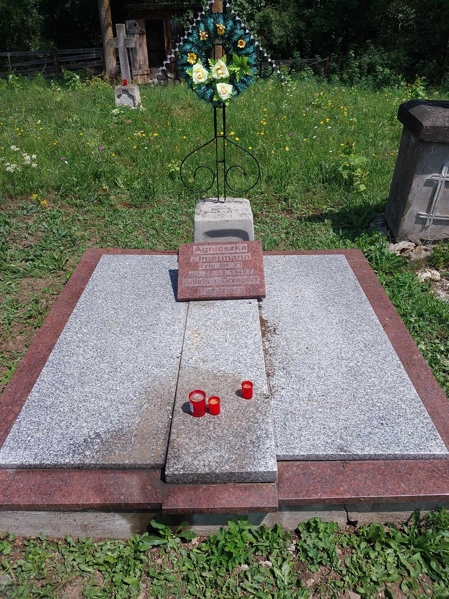 Альтернативний текст фотографії