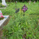 Photo montrant Pierre tombale de Maria et Joseph Swancar