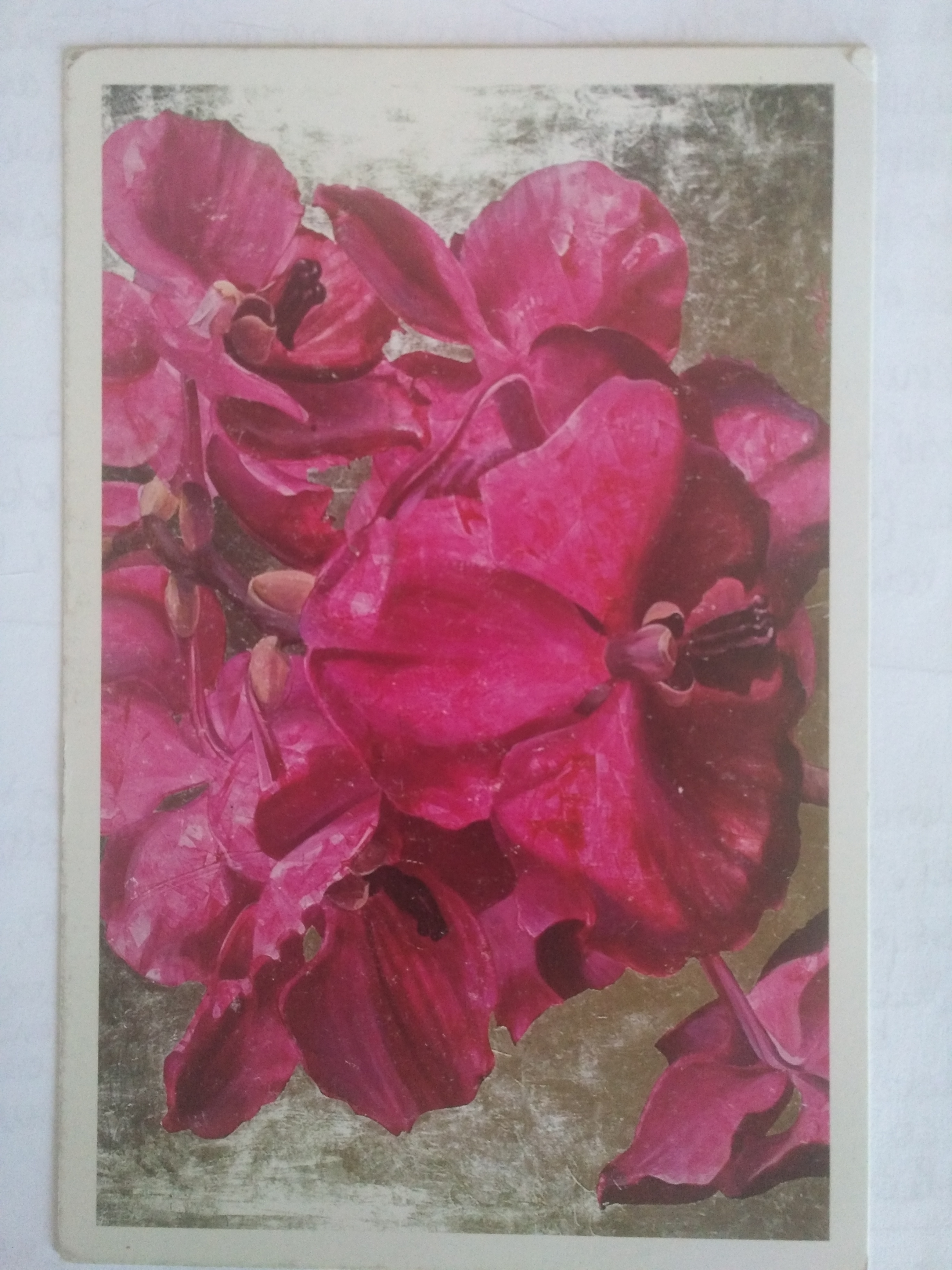 Photo montrant Ilona Biernot - peintre