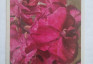 Photo montrant Ilona Biernot - peintre