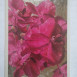 Photo montrant Ilona Biernot - peintre
